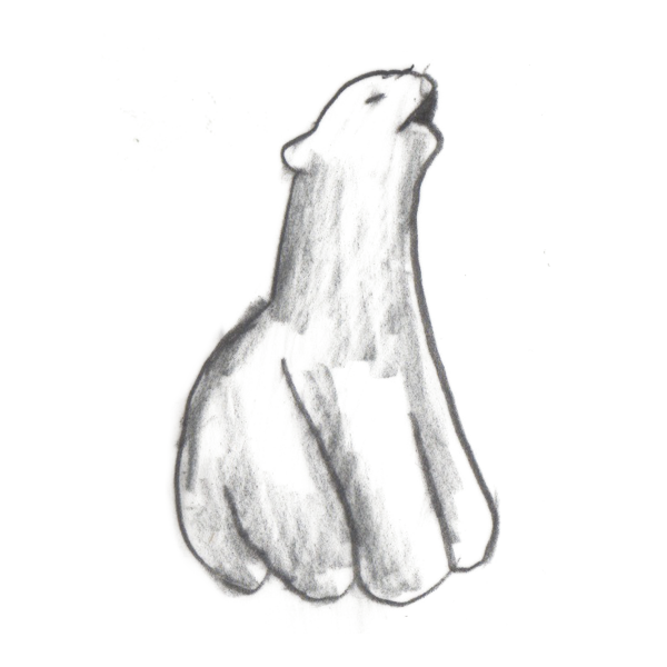 polar bear